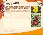 重阳节的起源展板