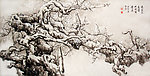 遥望不是雪