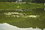莲湖