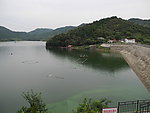 夏日的湖面