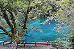 九寨沟五彩池