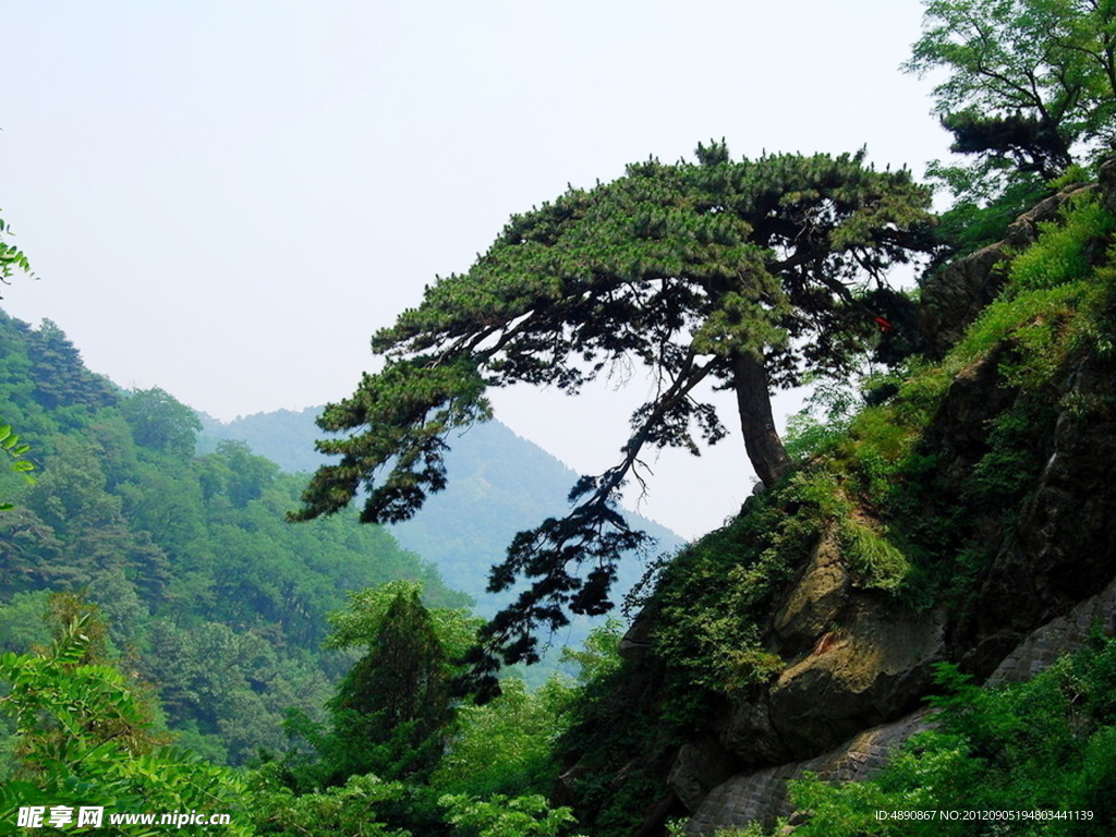 齐鲁之行登泰山