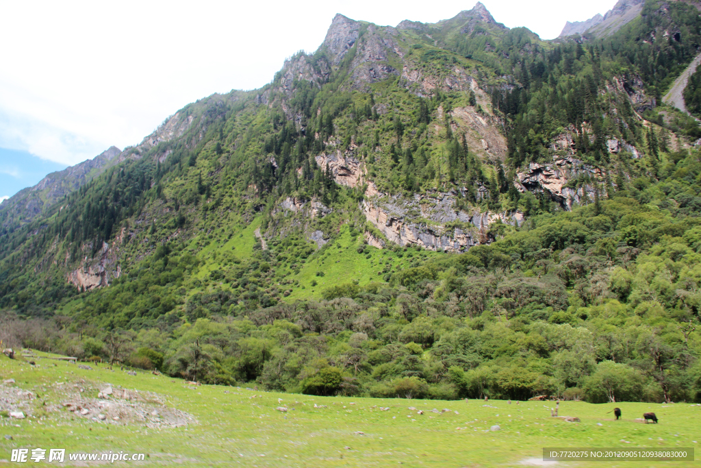 四姑娘山