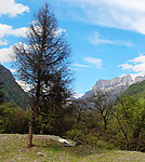 四姑娘山