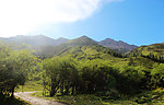 四姑娘山
