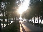 象湖夕景