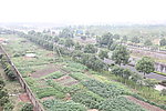 田园风光