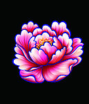 手绘花