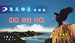51找物流 顺德德运物流