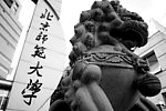 北京师范大学小东门