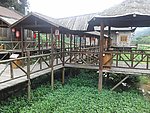 茶叶观光园