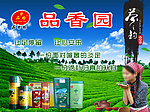 茶叶海报