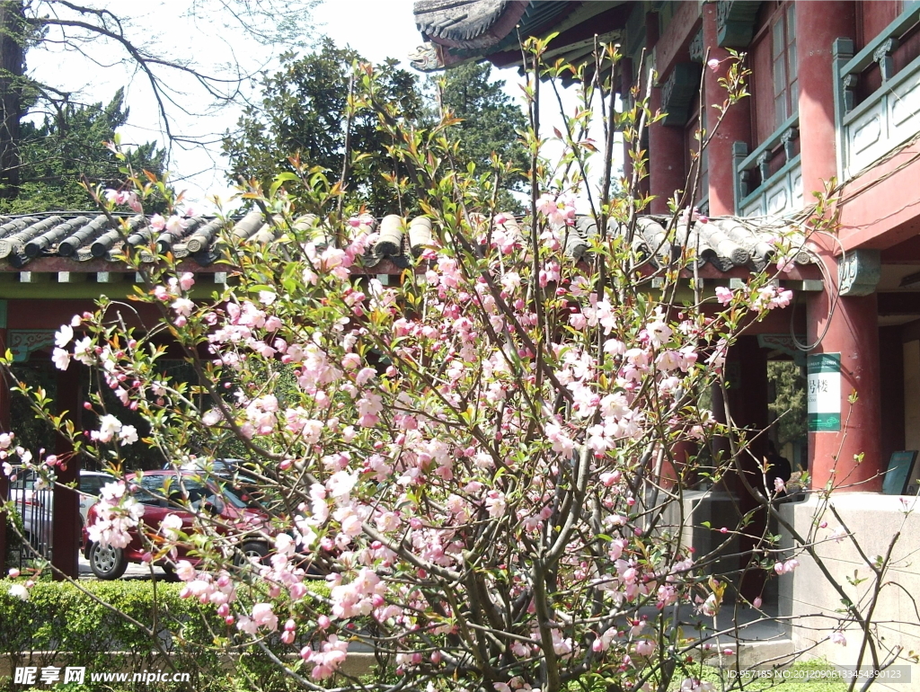 南京师范大学校园美景(非高清)