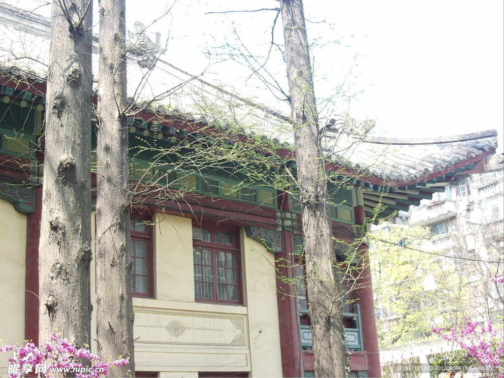 南京师范大学校园美景(非高清)