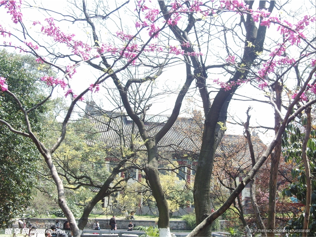 南京师范大学校园美景(非高清)