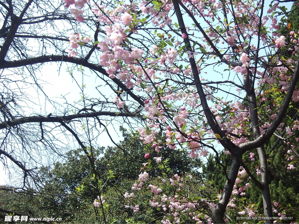 南京师范大学校园美景(非高清)