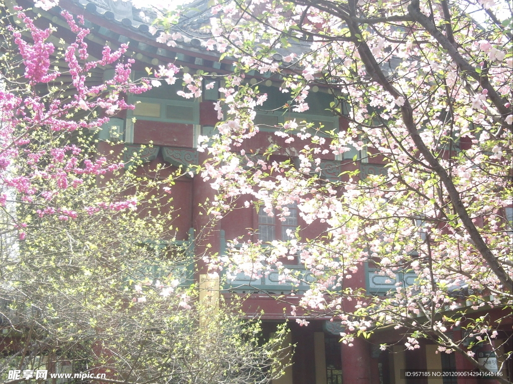 南京师范大学校园美景(非高清)