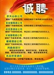 诚聘