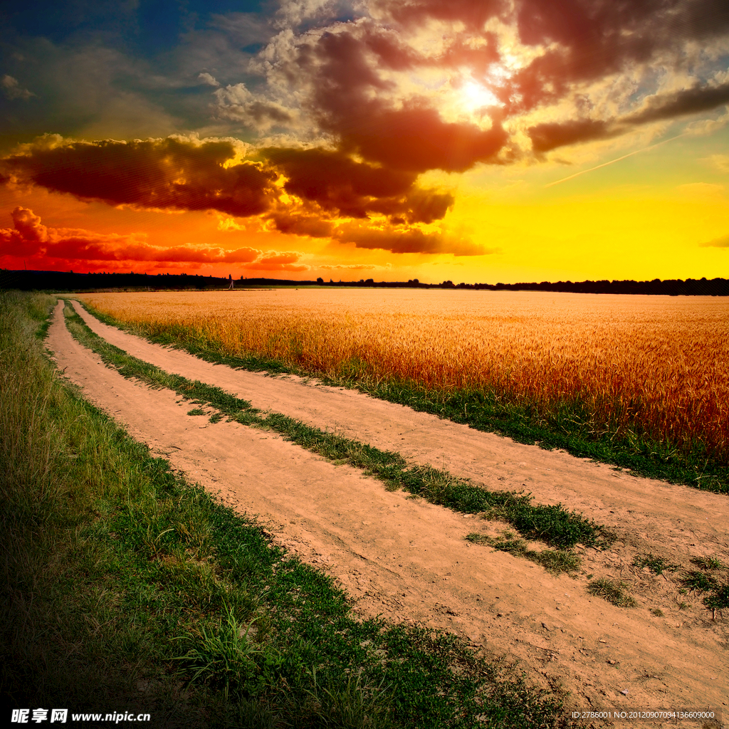 夕阳下的道路