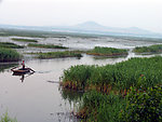 东平湖湿地泛舟