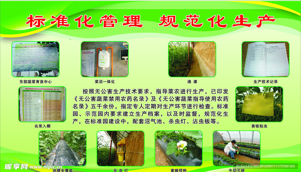 标准化管理 规范化生产