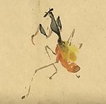螳螂