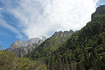 四姑娘山