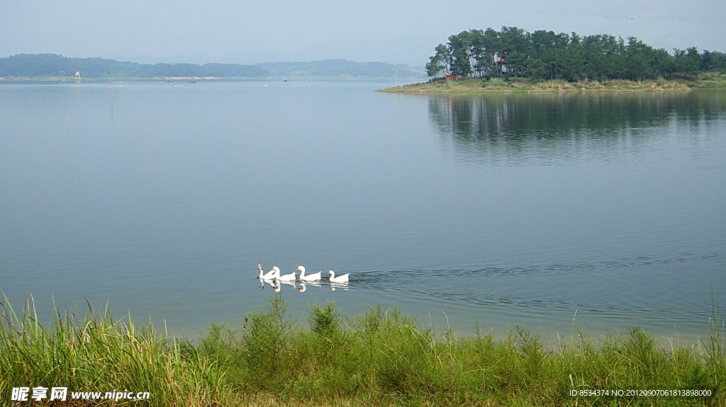 天鹅湖