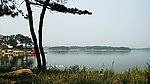 天鹅湖