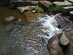小溪流水