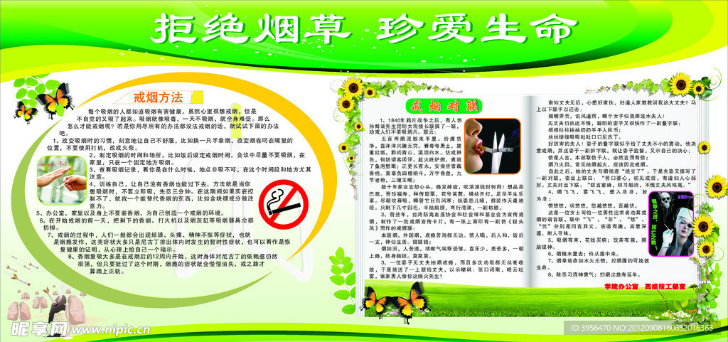 戒烟宣传栏