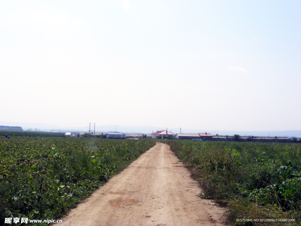 乡间大路图