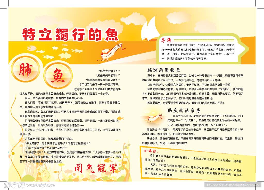 特立独行的鱼肺鱼