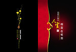 相宜在昵图画册封面