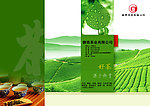 茶叶海报