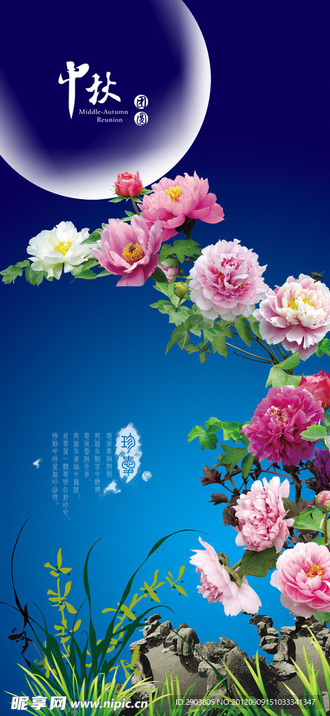 牡丹