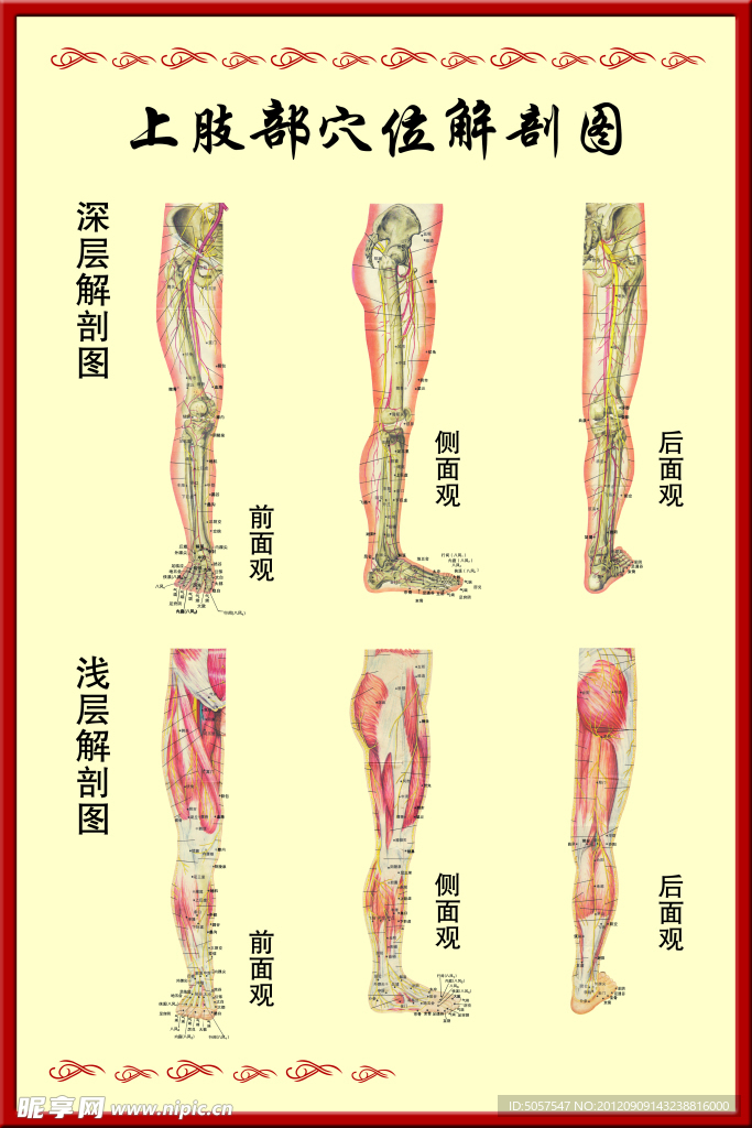 上肢穴位图