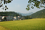 田园风光