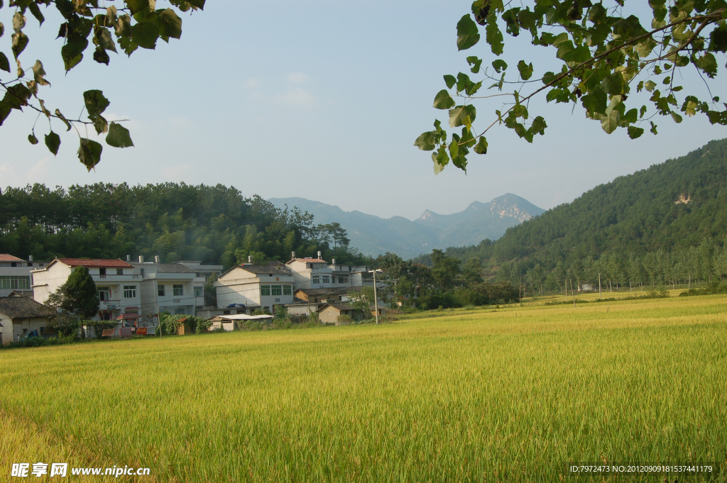 田园风光