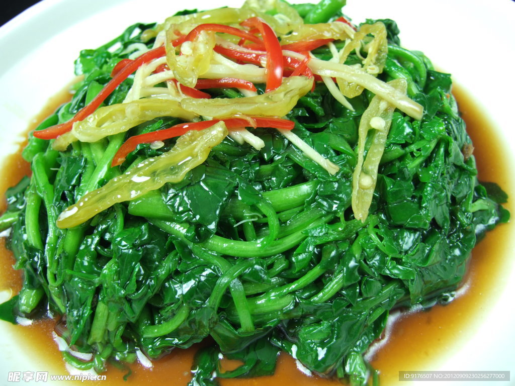 深海群边菜