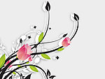 花纹