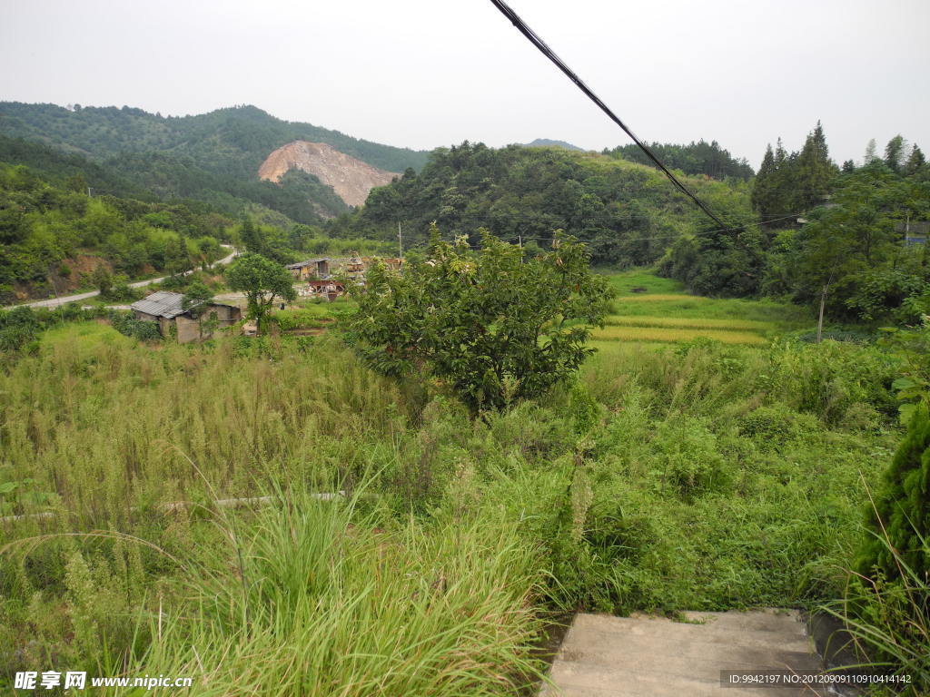 秋天的原野