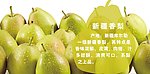 新疆香梨