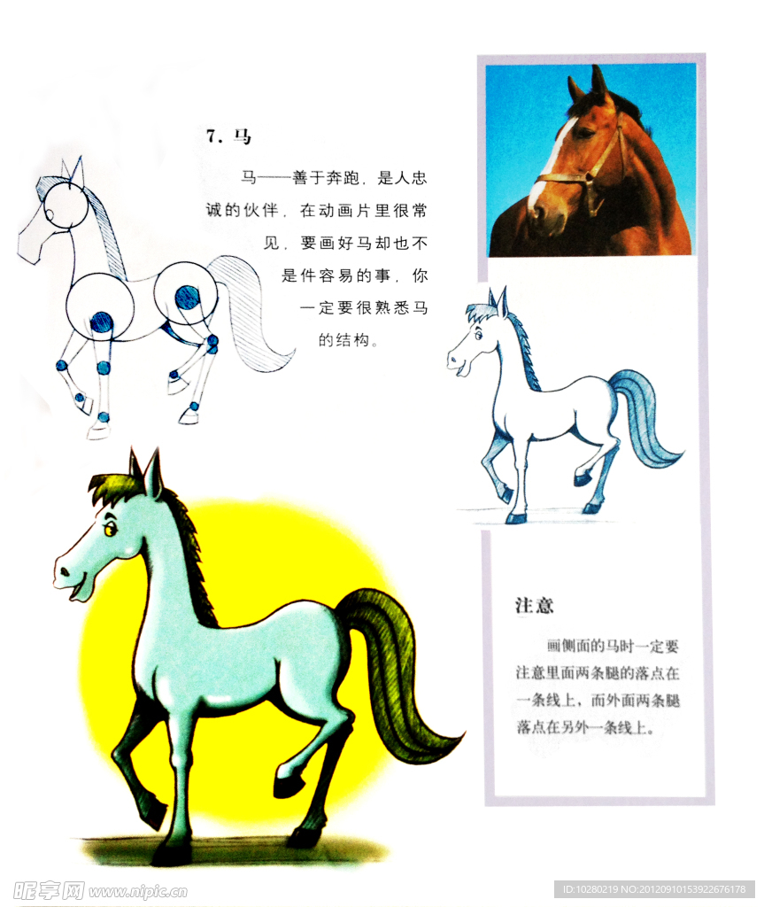 画卡通马步骤