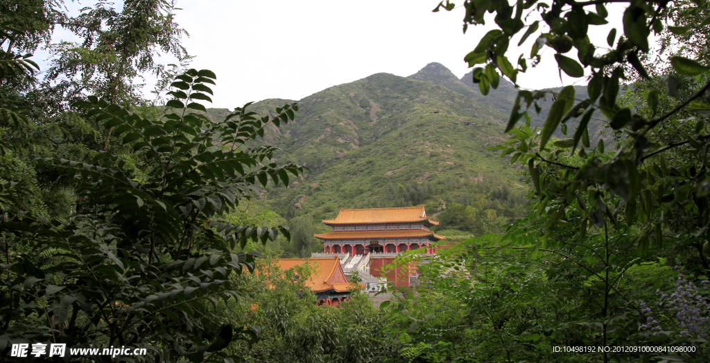 山东 淄博
