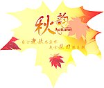 枫叶知秋