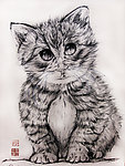 花猫