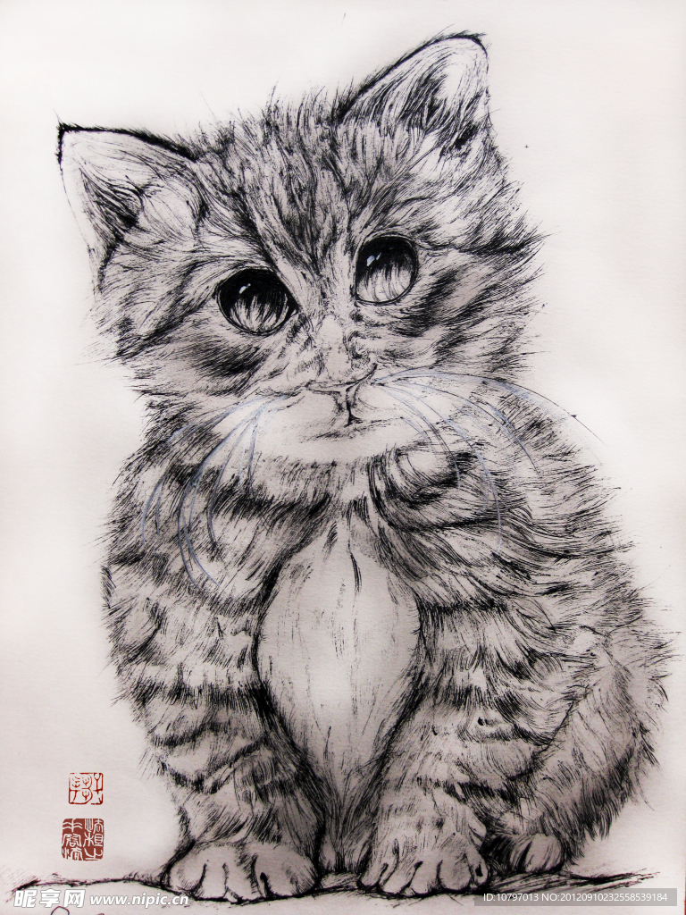 花猫