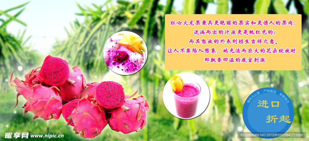 火龙果网页banner