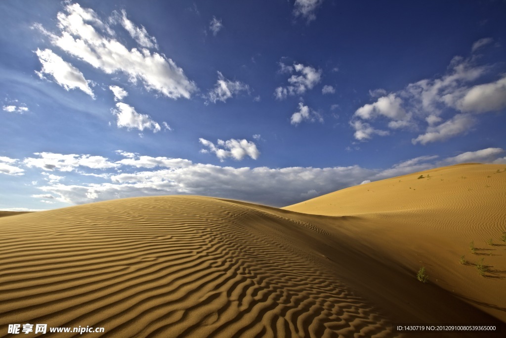 金色的沙漠波纹和蓝天白云